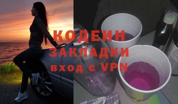 дурь Елизово