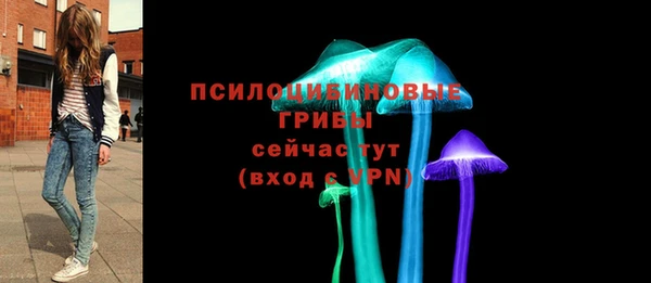 герыч Елабуга